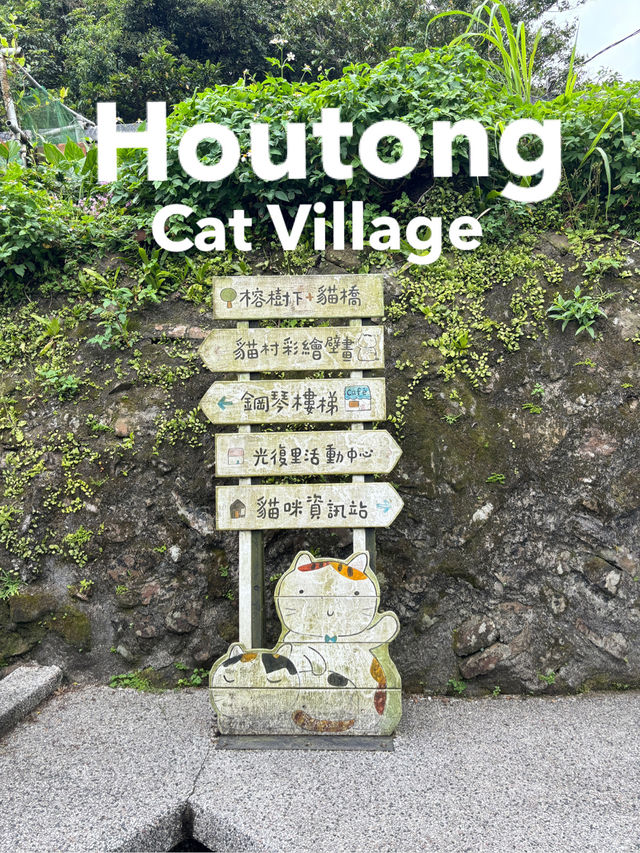หมู่บ้านแมวที่ไต้หวัน Houtong Cat Village