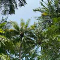 Untouched Paradise: My Luxurious Escape to Pimalai Resort & Spa, Koh Lanta
