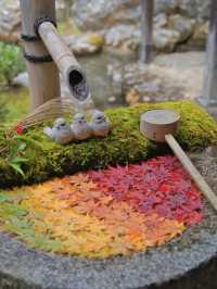【紅葉特集】映えが止まらない😍紅葉期間の限定公開も✨花手水発祥の地で見る紅葉🍁 