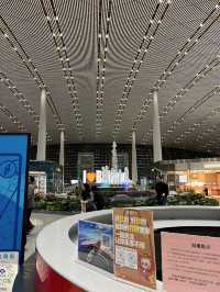 【中国･北京🇨🇳】写真映えスポットがある！？北京にある北京首都国際空港✈️