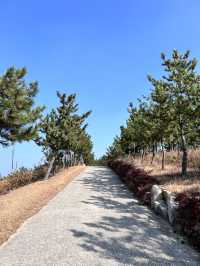 🇰🇷浦項✈️ 砂防紀念公園사방기념공원 