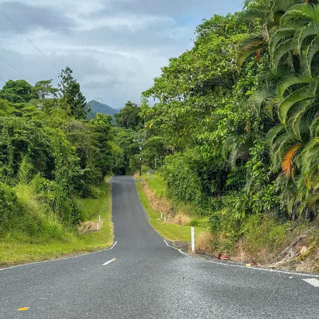 퀸즐랜드의 숨겨진 보석, 이니스페일 발견하기