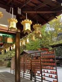 京都観光☺️女性の味方🥰美麗の神様🩷河合神社