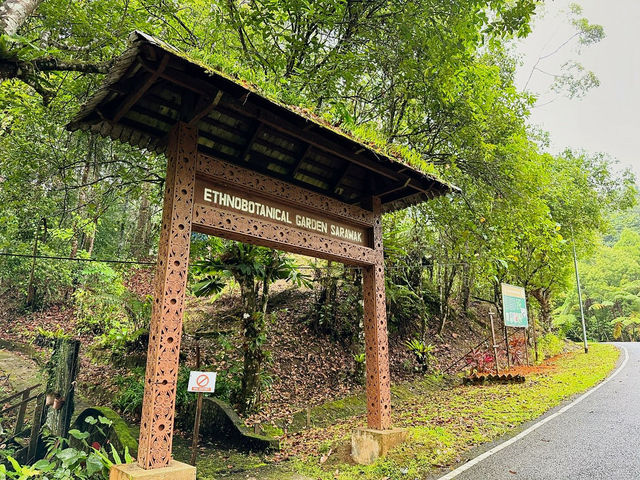 Experiencing Semenggoh Wildlife Centre