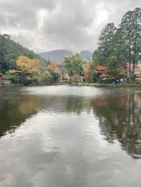 【湯布院】湯布院といえばココ✨神秘的な湖✨