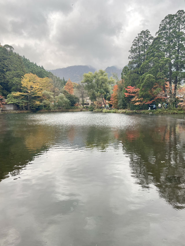 【湯布院】湯布院といえばココ✨神秘的な湖✨
