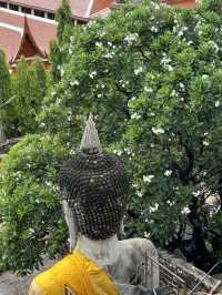  Wat Yai Chai Mongkhon: A Peaceful Morning at Ayutthaya's Iconic Temple