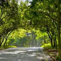 ～福林公園～清新派對～