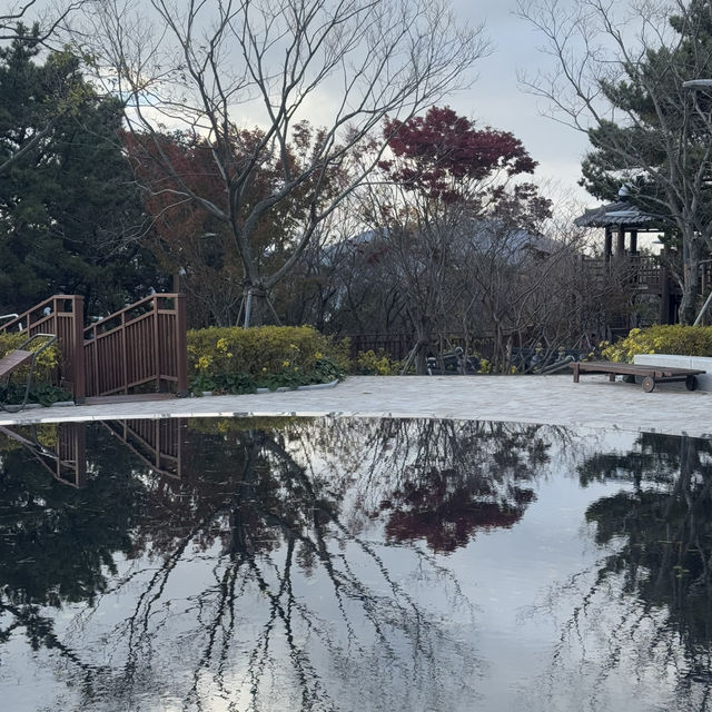 공원 데이트 어떠세요!?