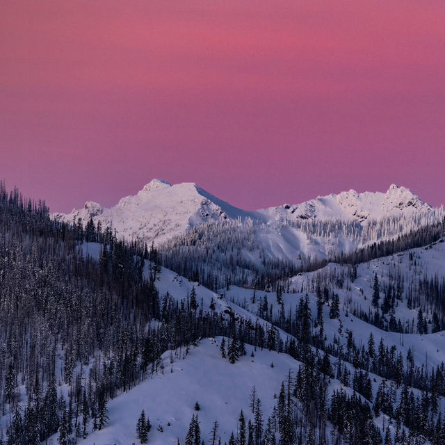 Let me tell you why Washington Should Be Your Next Christmas Vacation