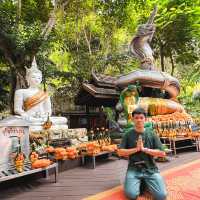 ม่อนกุเวร อุทยานมหาราชท้าวเวสสุวรรณ  เชียงใหม่