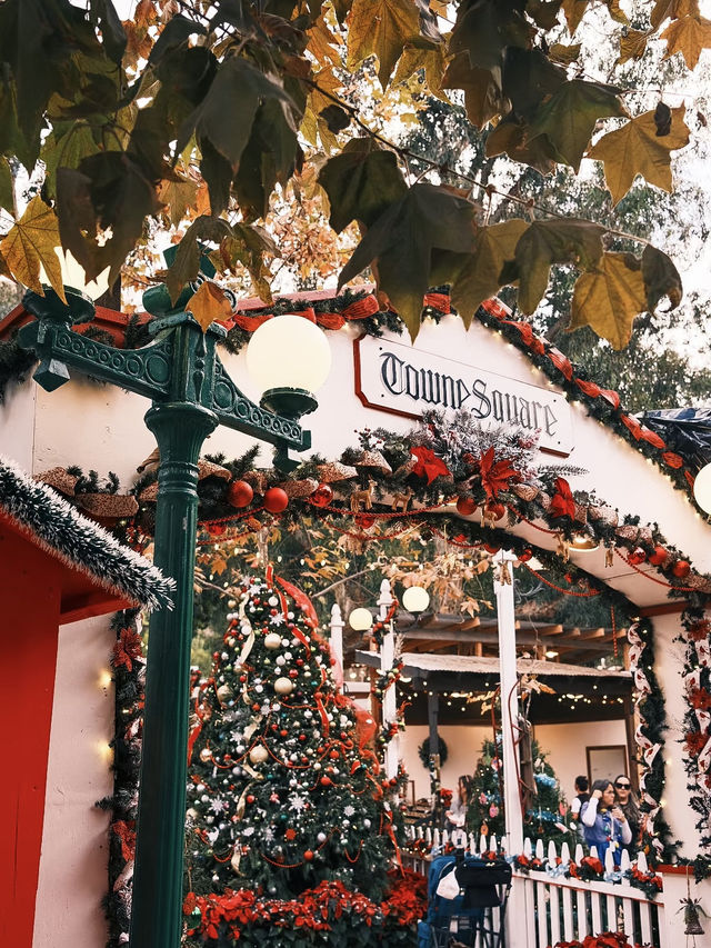 A Coastal Christmas at Laguna Beach: Sand, Surf, and Seasonal Cheer