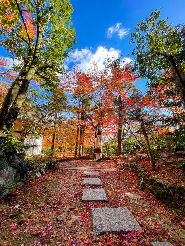 京都嵯峨野の紅葉名所😊🍁小倉山の常寂光寺🍁