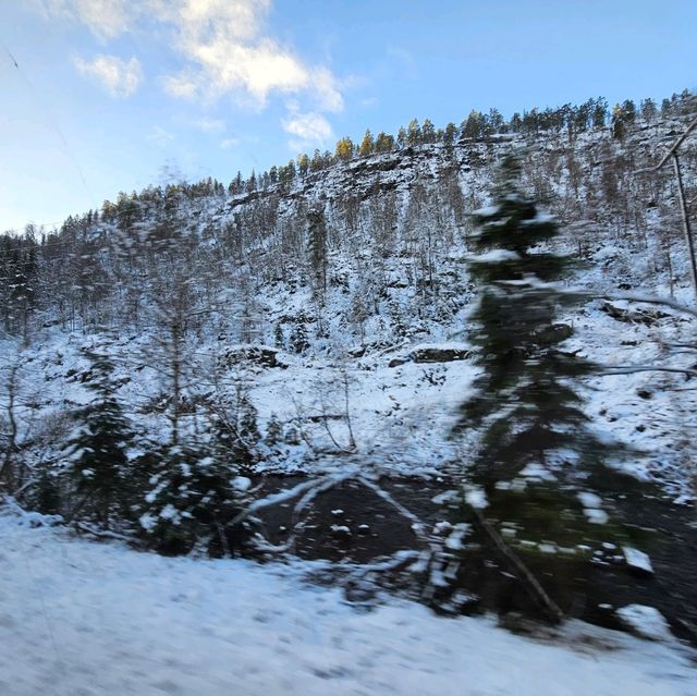 Bergen to oslo trip by train