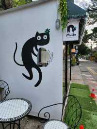 【チェンマイ】ニマンヘミン街歩き！ウォールアート探し🎨
