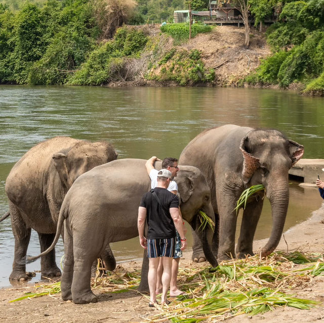 อาบน้ำน้องช้างที่ Elephants World 