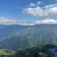 🇮🇳 印度-大吉嶺 Darjeeling Happy Valley