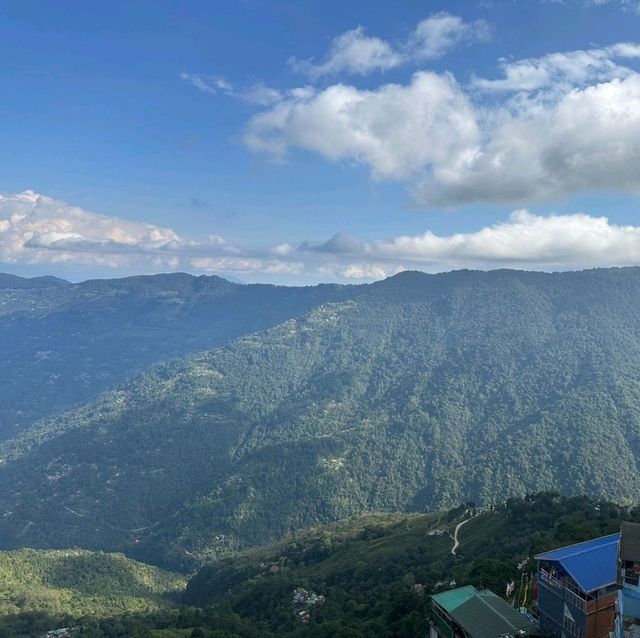 🇮🇳 印度-大吉嶺 Darjeeling Happy Valley