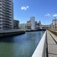 東京近郊散步日記：清澄白河