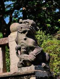 Kaiyuan Temple, Quanzhou (泉州开元寺): A Historic Buddhist Landmark