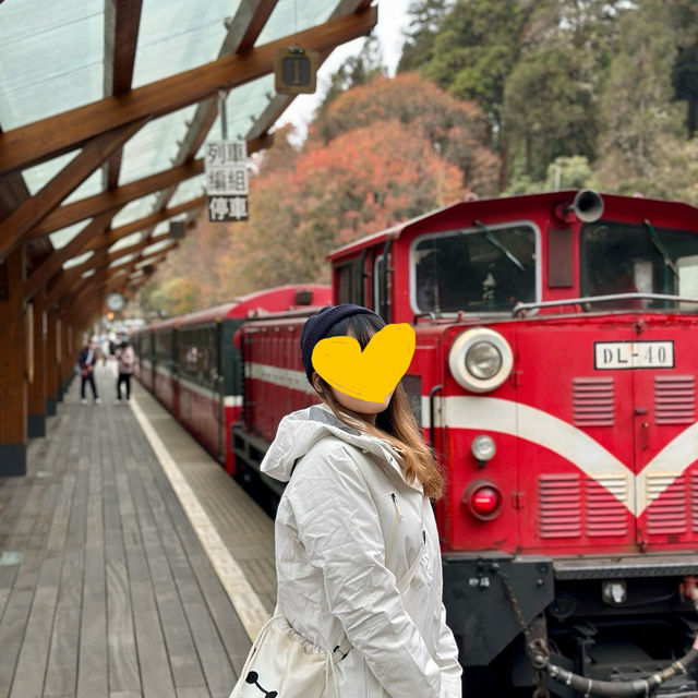 坐小火車看阿里山的日出吧！