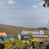 ทุ่งทานตะวันอ่างเก็บน้ำดอกกราย