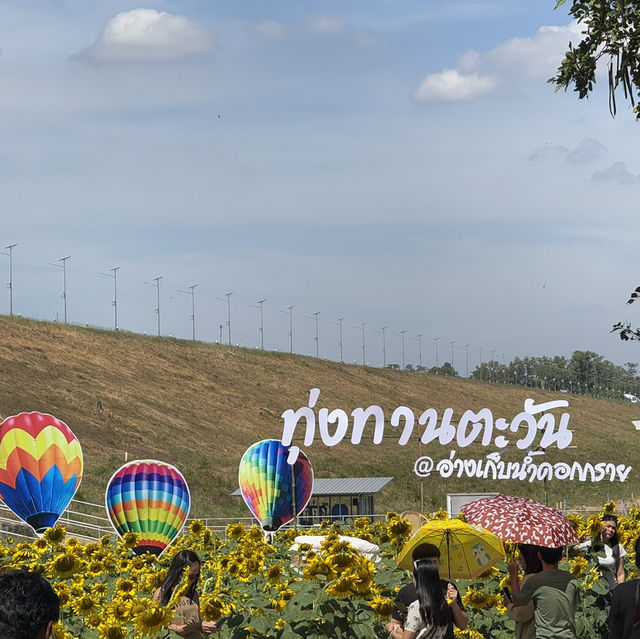 ทุ่งทานตะวันอ่างเก็บน้ำดอกกราย