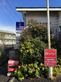 【長崎ランチ】地元で40年愛されてる老舗レストランのトルコライス🍽