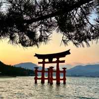 Floating torii gate of Miyajima Island