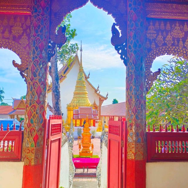 ประตูสู่ลำพูน  วัดประตูป่า