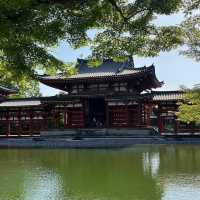 【京都】宇治のおすすめスポット