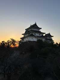黄昏遊和歌山城🌇再嘆美味和牛