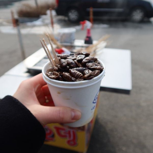 겨울 바다