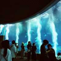 東京葛西臨海水族園