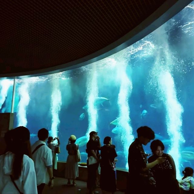 東京葛西臨海水族園