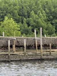 Tung Prong Thong: A Golden Eco-Adventure