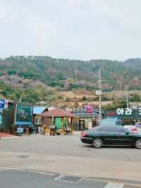 멋진 배를 타고 하는 국내 여행🚢