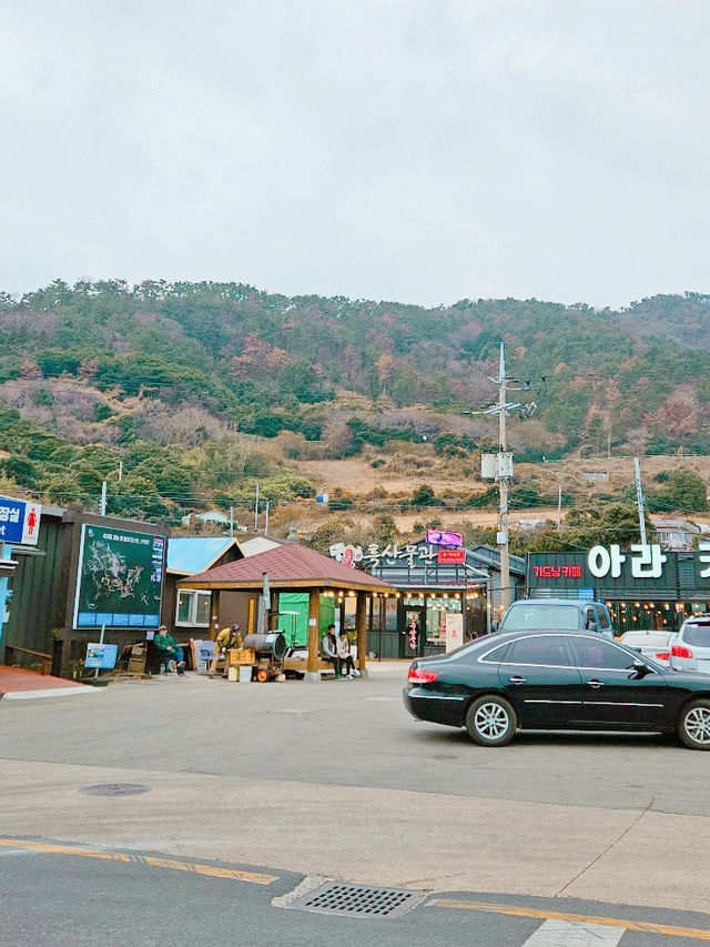 멋진 배를 타고 하는 국내 여행🚢