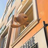 13DE MARZO 🐻