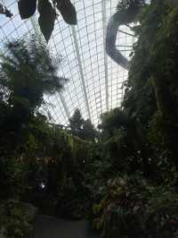 โดมยักษ์ Cloud Forest 🍃