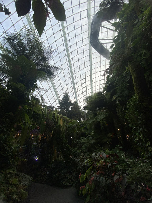 โดมยักษ์ Cloud Forest 🍃