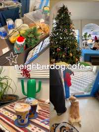 neighbordog.cafe ✨คาเฟ่น้องหมาย่านแจ้งวัฒนะ