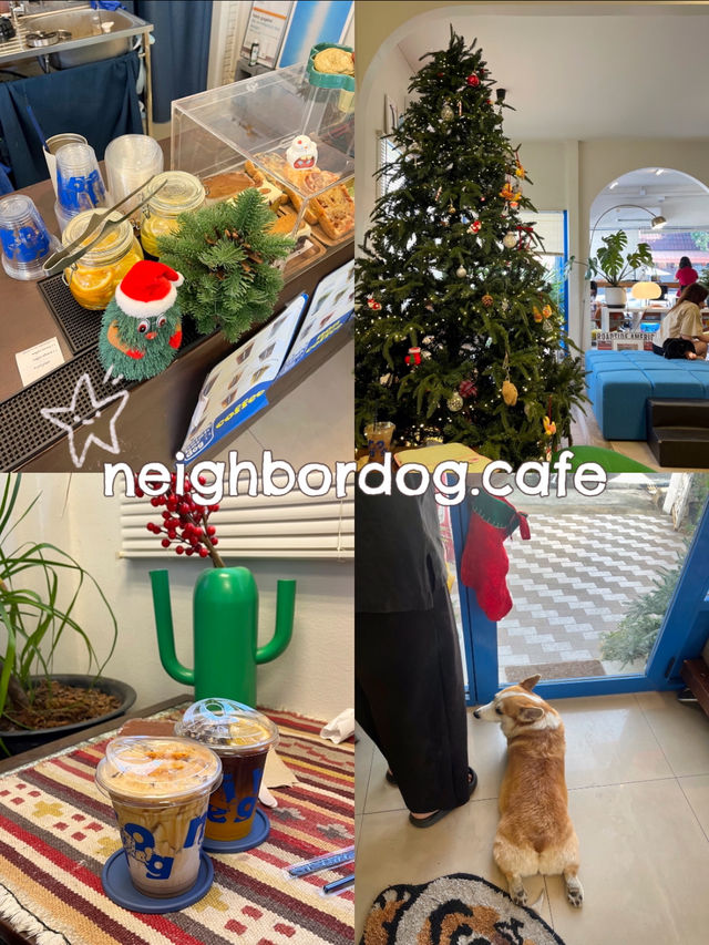neighbordog.cafe ✨คาเฟ่น้องหมาย่านแจ้งวัฒนะ