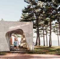 Daecheon Beach offers a variety 