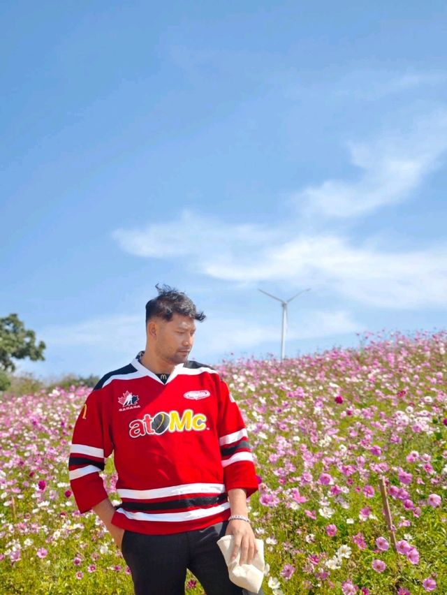 สวนดอกไม้ซับสะเลเต จ.ชัยภูมิ