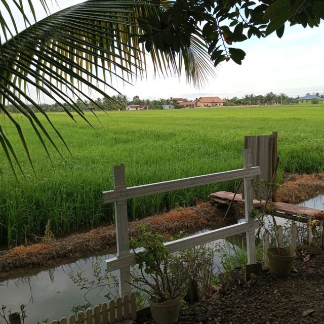 Chalet with Sawah View in Tangkak Johor!