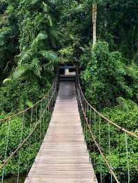 A Journey Through Nature’s Masterpiece: My Adventure at Khao Yai National Park