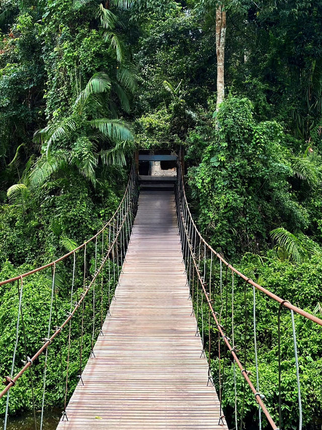 A Journey Through Nature’s Masterpiece: My Adventure at Khao Yai National Park