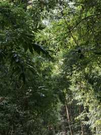 Into the Wild: Camping Adventure at Kaeng Krachan National Park 