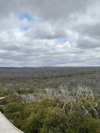 Luxury on the Edge: Southern Ocean Lodge